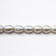 Gray freshwater cultured pearl, olive shape 5.5-6.5mm x 38cm