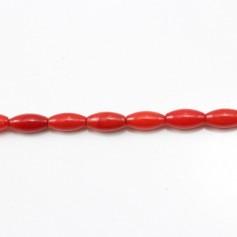Bambù marino, tinta rossa, barile, 3x6mm x 40cm