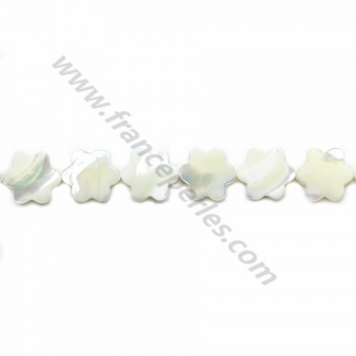 Nacre blanche en forme de fleur à 6 pétales sur fil 12mm x 40cm