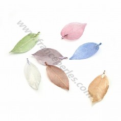 Real natural tree leaf, different colors x 1pc