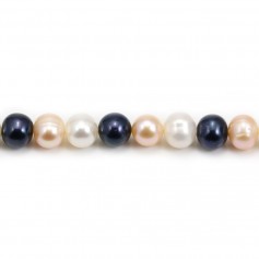 Freshwater cultured pearls, multicolor, half-round 7-8mm x 40cm