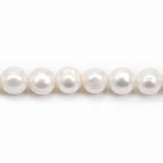 Perlas cultivadas de agua dulce, blancas, ovaladas/regulares, 12-13mm x 40cm