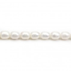 Perlas cultivadas de agua dulce, blancas, oliva, 7-8mm x 2pcs
