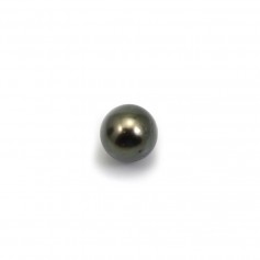 Perla cultivada de Tahití, redonda, 8,5-9mm B x 1ud