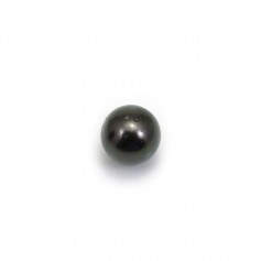 Perla cultivada de Tahití, redonda, 10-11mm, B x 1ud