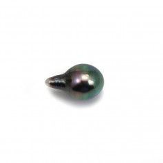 Tahitian cultured pearl in the shape of a drop x 1pc