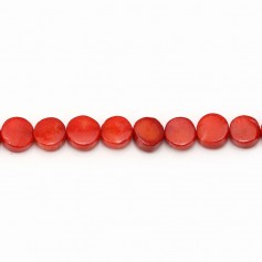 Bambou de mer teinté rouge, de forme rond plat, 6mm x 40cm
