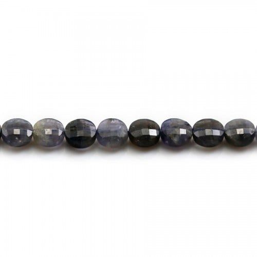 Cordiérite (Iolite) in round flat faceted shaped 6mm x 39cm