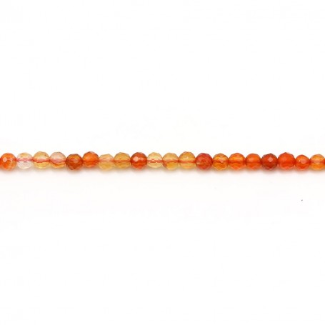 Cornelian flat round beads on thread 8mm x 40cm