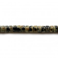 Jaspe dalmatien, en forme de rondelle Heishi 2x4.5mm x 39cm