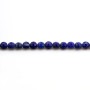 Lapis lazuli in round flat faceted shape 4mm x 8pcs