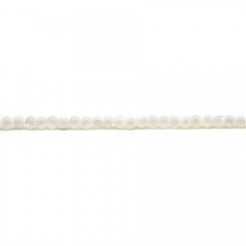 Madrepérola branca redonda 2mm x 39cm