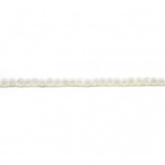 Nácar blanco redondo 2 mm x 39 cm