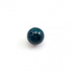 Apatita, de color azul, semiperforada, forma redonda 8mm x 2pcs