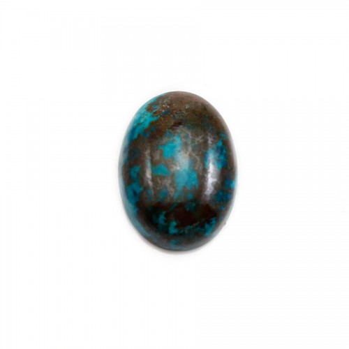 Cabochon Chrysocolle Oval 12x16mm x 1pc