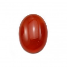 Roter Achat Cabochon oval 13x18mm x 2pcs