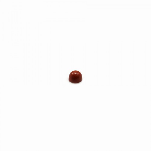 Cabochon de jaspe rouge, de forme ronde, 2mm x 4pcs