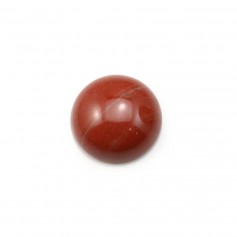 Cabochon de jaspe rouge, de forme ronde, 12mm x 2pcs
