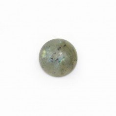 Round Labradorite cabochon 10mm x 1pc
