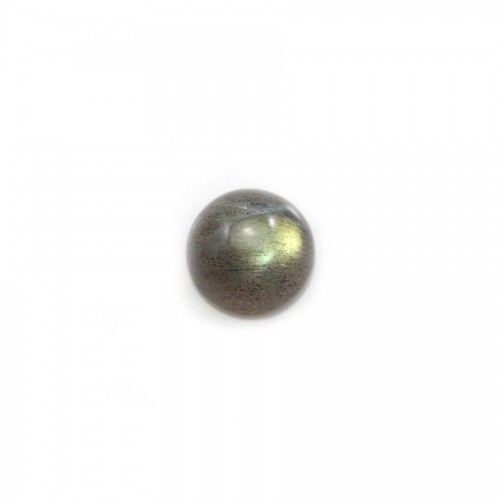 Labradorite cabochon, in round shape, 10mm x 2 pcs