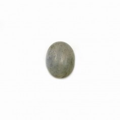 Labradorite cabochon, forma oval, 7 * 9mm x 4pcs