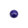 Cabochon of lapis lazuli round 12mm x 1pc