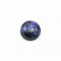 Cabochon de sodalite bleu, de forme ronde, 10mm x 4pcs