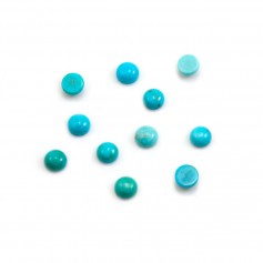 Cabochon Turquoise, forme ronde 5mm x 1pc