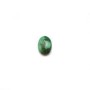 Cabochon de turquoise de forme ovale, 4.5x6.5mm x 1pc