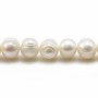 White round freshwater pearls on thread 9-10mm x 40cm