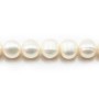 Perles de culture d'eau douce, blanche, ronde/irrégulière, 10-11mm x 40cm