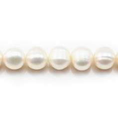 Perles de culture d'eau douce, blanche, ronde/irrégulière, 10-11mm x 40cm