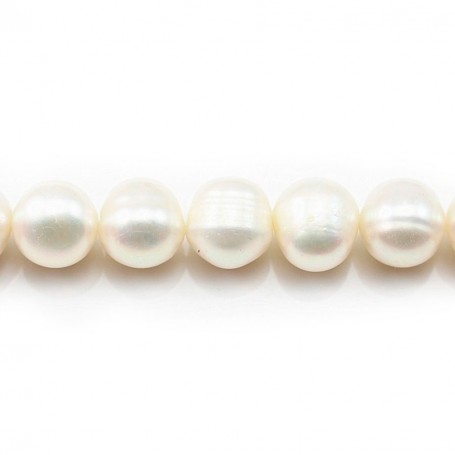 White round freshwater pearl 10-12mm x 2pcs