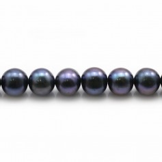 Perles de culture d'eau douce, bleue foncée, semi-ronde, 7-8mm x 4pcs