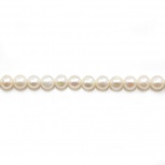 Perles de culture d'eau douce, blanche, semi-ronde, 4-5mm x 2pcs