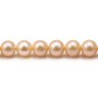 Perles de culture d'eau douce, saumon, ronde, 8-9mm x 40cm