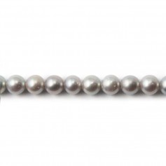 Freshwater cultured pearls, grey, half-round, 5.5-6.5mm x 38cm
