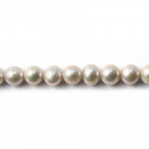 Perle coltivate d'acqua dolce, grigie, ovali, 6-7 mm x 4 pz