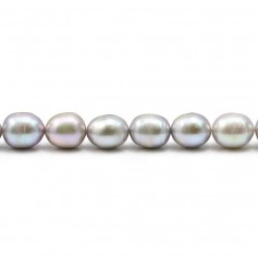 Perles de culture d'eau douce, gris B, olive, 7-8mm x 4pcs