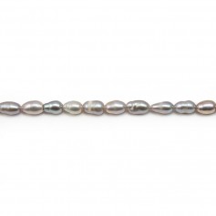 Gray freshwater cultured pearl, olive shape 4-4.5mm x 35cm