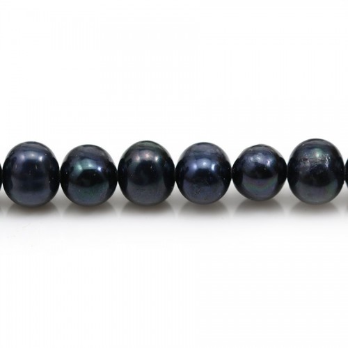 Perles de culture d'eau douce, bleu foncé, semi-ronde, 8-9mm x 6pcs