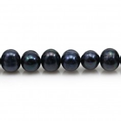 Freshwater cultured pearls, dark blue, half-round, 8-9mm x 1pc
