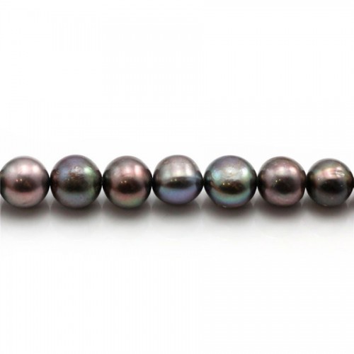 Perle coltivate d'acqua dolce, blu scuro, rotonde, 8-9 mm x 40 cm