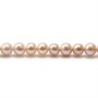 Perle coltivate d'acqua dolce, malva, semitonde, 6 mm x 36 cm