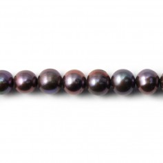 Perles de culture d'eau douce, mauve, ronde, 7-8mm x 40cm