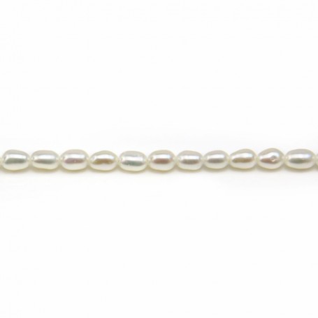 White ovale freshwater pearl 2.5x4mm x 10pcs