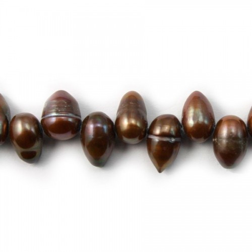 Perles de culture d'eau douce, marron, irrégulière, 10mm X 5pcs