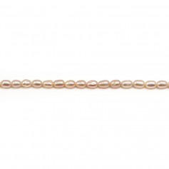 Salmon freshwater cultured pearl, olive shape 3.5-4mm x 39cm