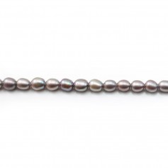 Freshwater cultured pearls, grey, olive, 4.5-5mm x 4pcs