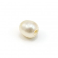 Perla coltivata d'acqua dolce, bianca, oliva, 7-8 mm x 2 pezzi